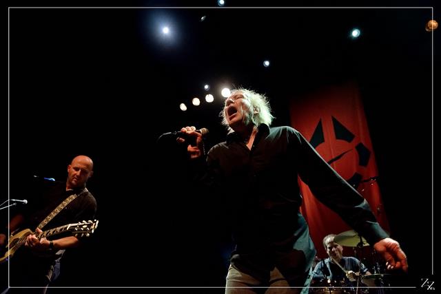 NIK_80129 Radio Birdman 18-10-2018 (Zz) (p).jpg